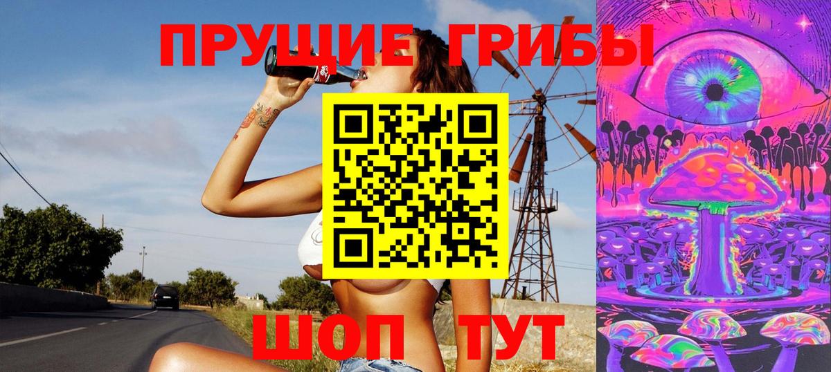 Псилоцибиновые грибы GOLDEN TEACHER Кстово