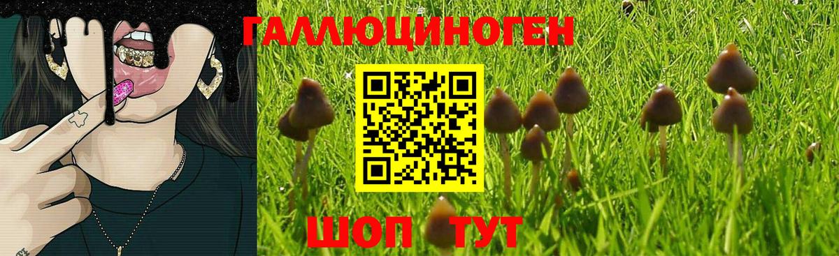 Кстово  Псилоцибиновые грибы мицелий  Вход с VPN 
