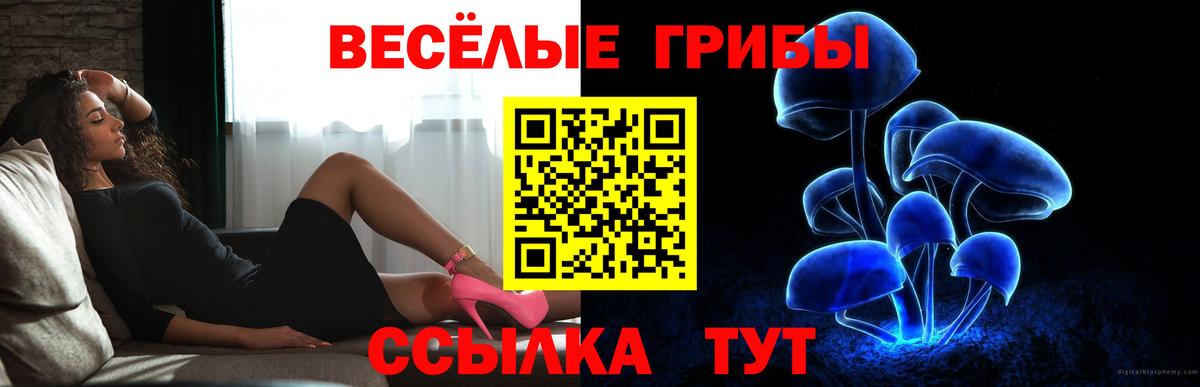ГАШИШ  ГАШ  Купить наркотик  Мефедрон кристаллы  КОКАИН  A-PVP СОЛЬ   Кстово  Вход с VPN 