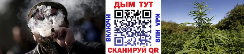 как найти закладки  Кстово  Бошки марихуана гибрид 